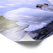 ひとつは、ダニー・ハーボームの白鳥だ フォトプリント            (角)