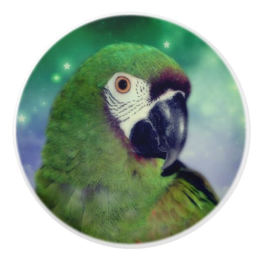 ひどいマカオパロットクローズアップ セラミックノブ (正面)