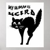 ひどく興奮した猫 ポスター (正面)