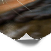 ひどく驚く ポスター (コーナー)