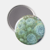 ひなと鶏の吸汁 マグネット (正面/裏面)