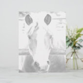 ひな形 (スタンド正面)