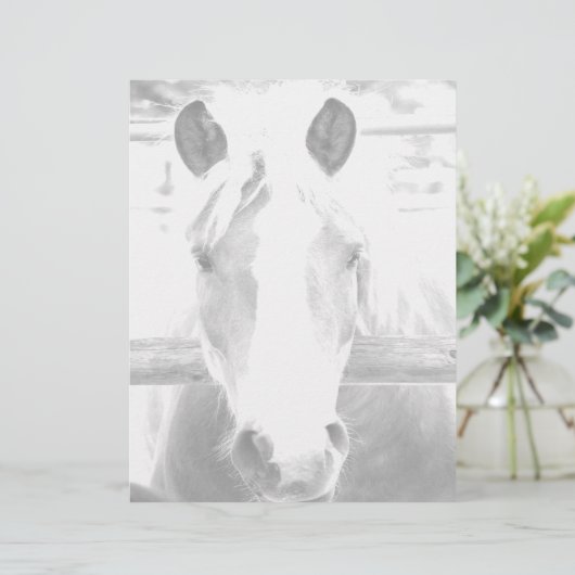 ひな形 (スタンド正面)