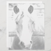 ひな形 (正面/裏面)