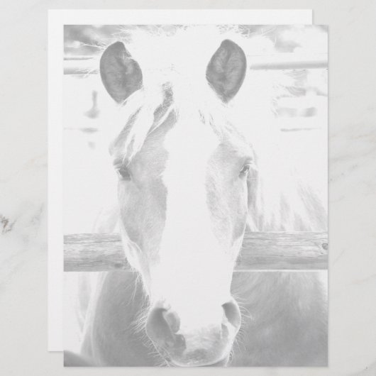 ひな形 (正面/裏面)