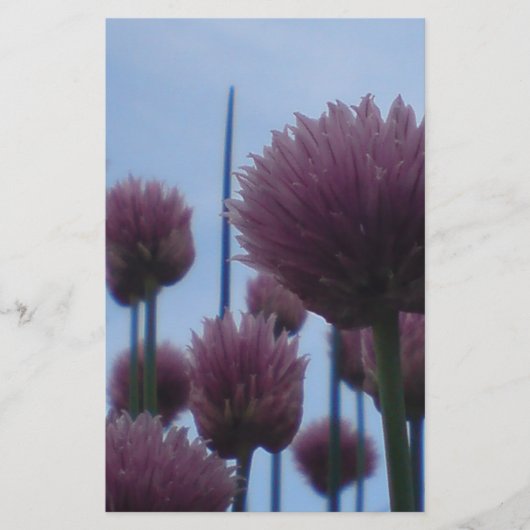 ひな形 – チャイブイメージ1 便箋 (正面)