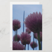 ひな形 – チャイブイメージ1 便箋 (正面/裏面)