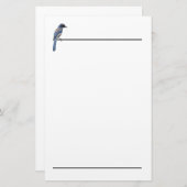 ひな形 – Blue Jay 便箋 (正面/裏面)