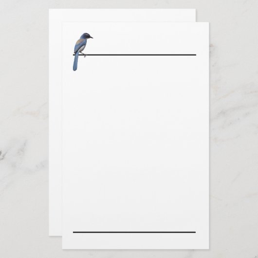 ひな形 – Blue Jay 便箋 (正面/裏面)