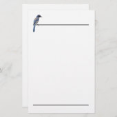 ひな形 – Blue Jay 便箋 (正面/裏面)