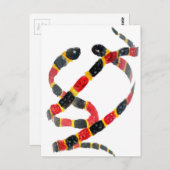 ひねりスネークアート ポストカード (正面/裏面)