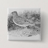 ひばり 缶バッジ (正面)