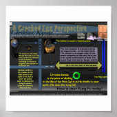 ひびの入った卵形 ポスター (正面)