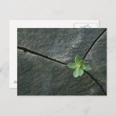 ひびの入った大きい石 ポストカード (正面/裏面)