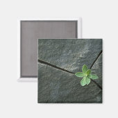 ひびの入った大きい石 マグネット (正面/裏面)