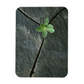 ひびの入った大きい石 マグネット (縦)