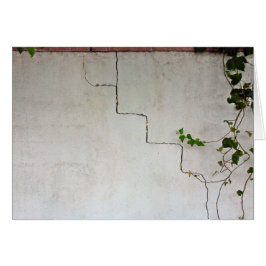 ひび割れたつる植物