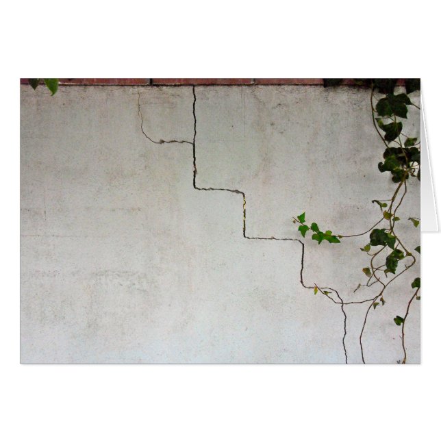 ひび割れたつる植物 (正面横)