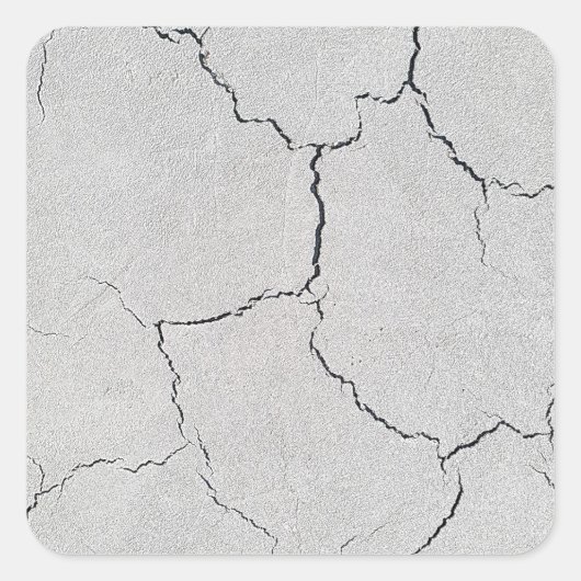 ひび割れたシール スクエアシール (正面)