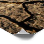 ひび割れた地球の苗 ポスター (角)