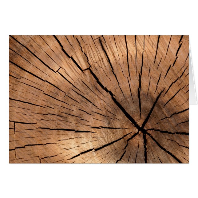 ひび割れた木材ログ (正面横)