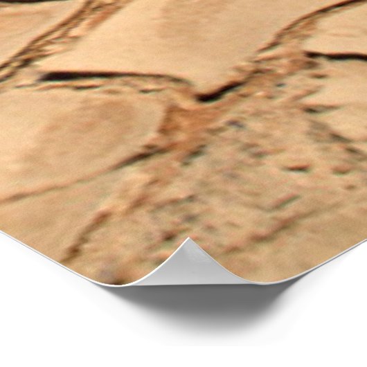 ひび割れた砂漠の平野 ポスター (角)