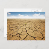ひび割れた砂漠床 ポストカード (正面/裏面)
