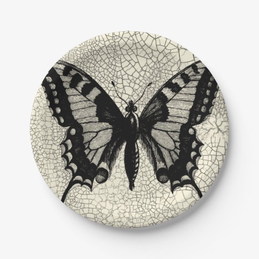 ひび割れた背景に黒と白の蝶 ペーパープレート (正面)