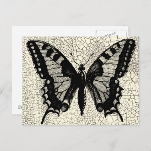 ひび割れた背景に黒と白の蝶 ポストカード (正面/裏面)