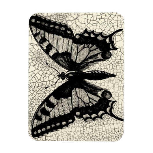 ひび割れた背景に黒と白の蝶 マグネット (縦)