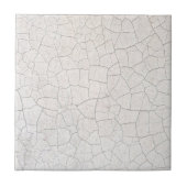 ひび割れた表面 タイル (正面)