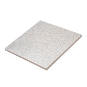 ひび割れた表面 タイル (側面)