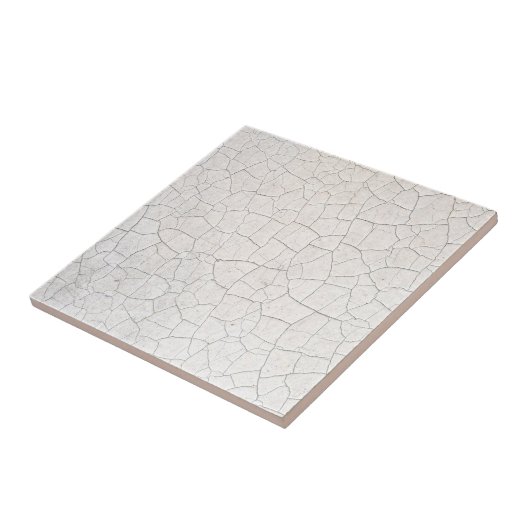 ひび割れた表面 タイル (側面)