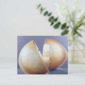 ひび割れ青銅器時代卵 ポストカード (スタンド正面)