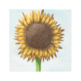 ひまかわいらし花 メタルプリント