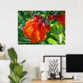 ひまのあるザクロの花 ポスター (ホームオフィス)