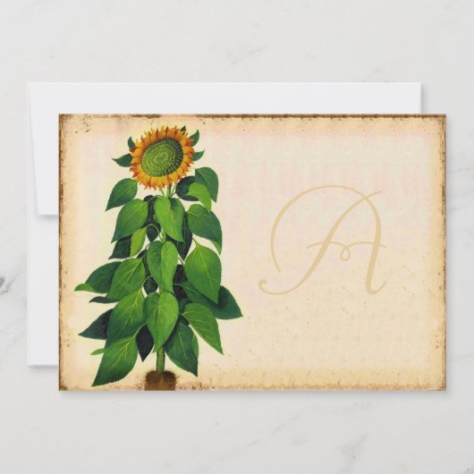 ひまわりお洒落結婚式招待状アイボリー 招待状 (裏面)