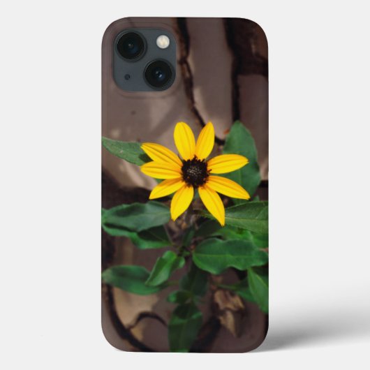 ひまわりが割れた泥から育つ Case-Mate iPhoneケース (裏面)