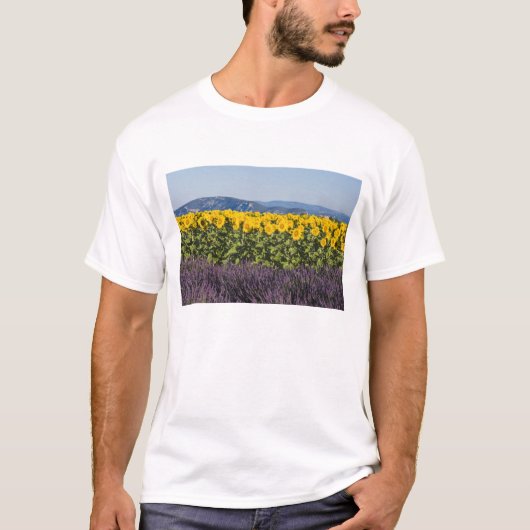 ひまわりとラベンダーの花畑、 Tシャツ (正面)