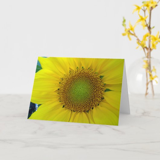 ひまわりと種、スパイラル、黄金比 カード (黄色い花)