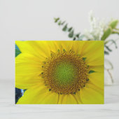 ひまわりと種、スパイラル、黄金比 招待状 (スタンド正面)