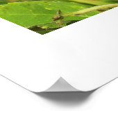 ひまわりののまわりに ポスター (角)