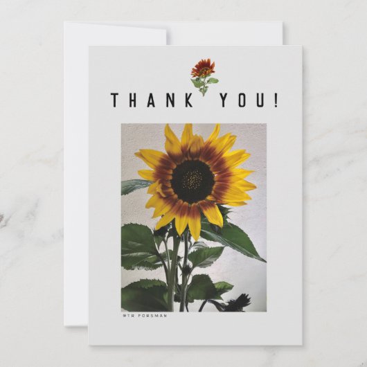 ひまわりのシンプルなメモカード  81724 招待状 (正面)