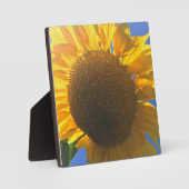 ひまわりの下 フォトプラーク (正面)