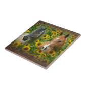 ひまわりの分野の美しい馬 タイル (側面)