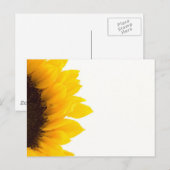 ひまわりの半分 ポストカード (正面/裏面)