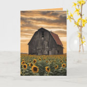 ひまわりの古い木造納屋 カード (黄色い花)