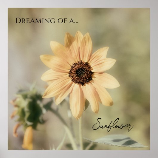 ひまわりの夢 ポスター (正面)
