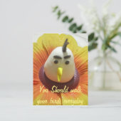 ひまわりの彫刻された鳥のアートプリント ポストカード (スタンド正面)