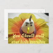 ひまわりの彫刻された鳥のアートプリント ポストカード (正面/裏面)